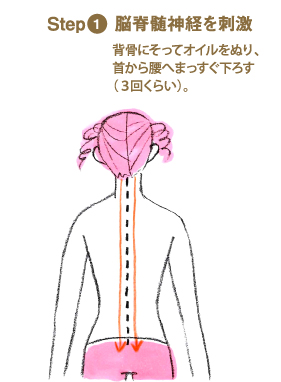 脳脊髄神経を刺激：背骨にそってオイルをぬり、首から腰へまっすぐ下ろす（３回くらい）。