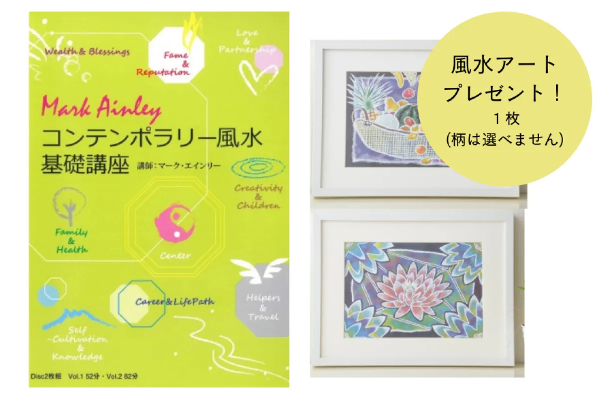 冬セール☆DVD コンテンポラリー風水基礎講座【2枚組・字幕付】＋絵画